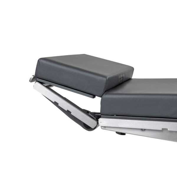 Dual Articulating Headrest...