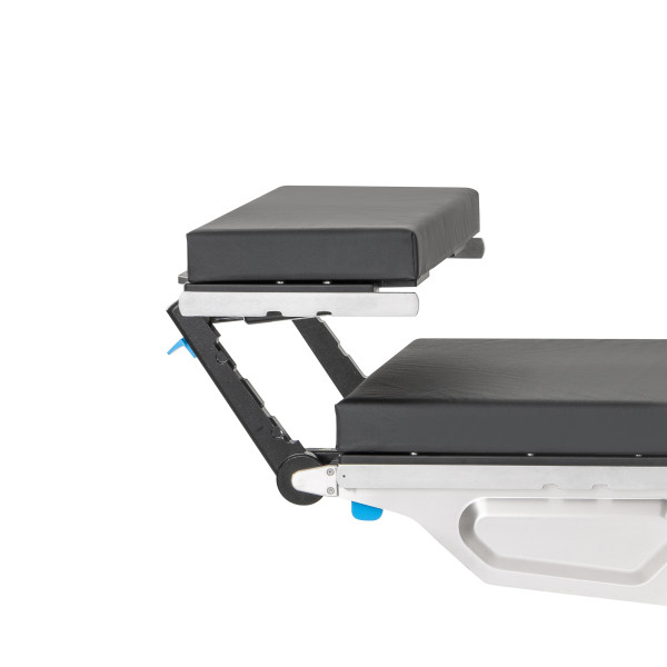 Dual Articulating Headrest...